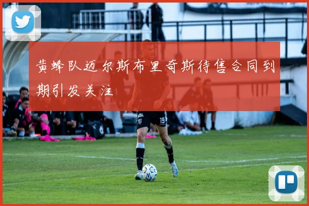黄蜂队迈尔斯布里奇斯待售合同到期引发关注