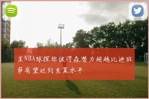 某NBA球探称彼得森潜力超越比迪班萨有望达到克莱水平